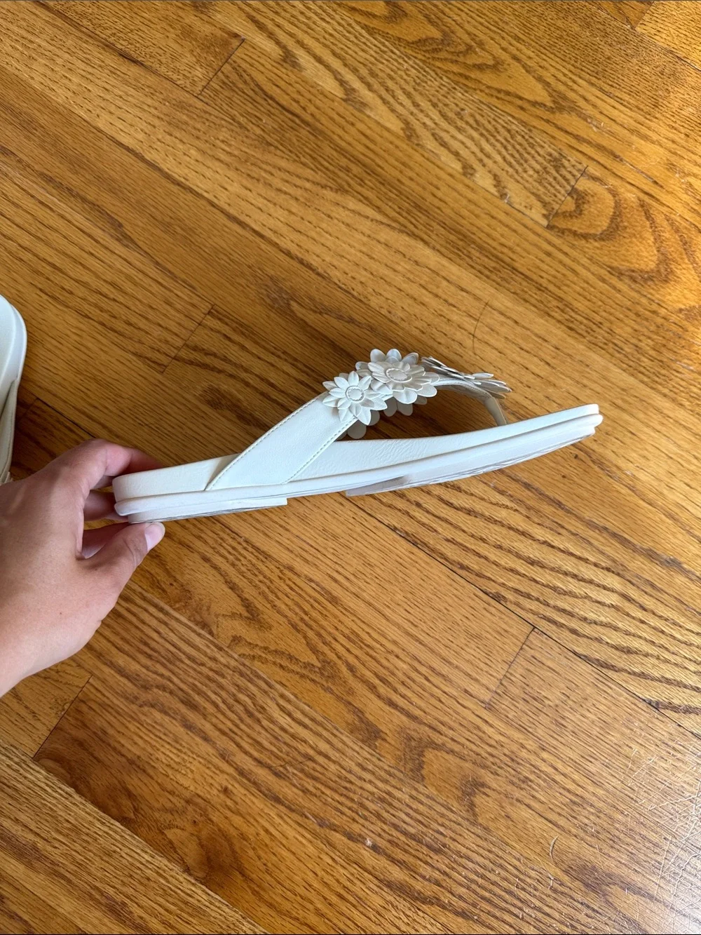 Aerosoles Floral Flip Flops